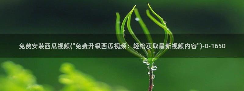 西瓜的图片大全