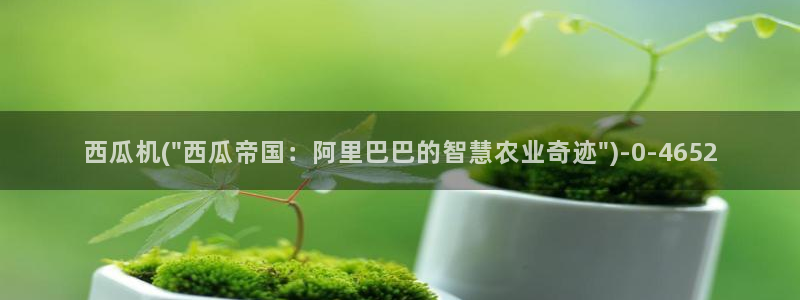 电视剧免费观看西瓜影院