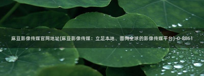 台湾麻豆传媒官网逍遥：麻豆影像传媒官网地址(麻豆影像传媒：立足本地、面向全球的影像传媒平台)