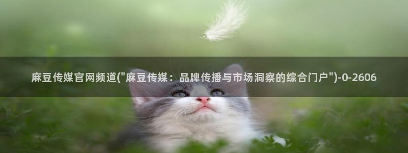 麻豆文化传媒官网ios：麻豆传媒官网频道(\