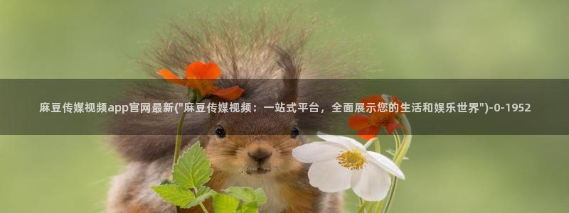 麻豆传媒公司官网：麻豆传媒视频app官网最新(\