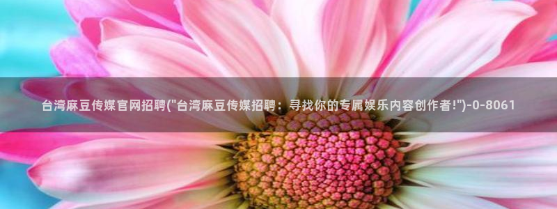 麻豆传媒有官网吗：台湾麻豆传媒官网招聘(\