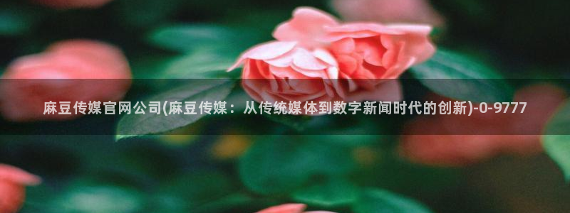 麻豆视传媒官网星辰：麻豆传媒官网公司(麻豆传媒：从传统媒体到数字新闻时代的创新)