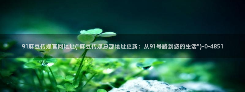 麻豆传媒官网全集：91麻豆传媒官网地址(\