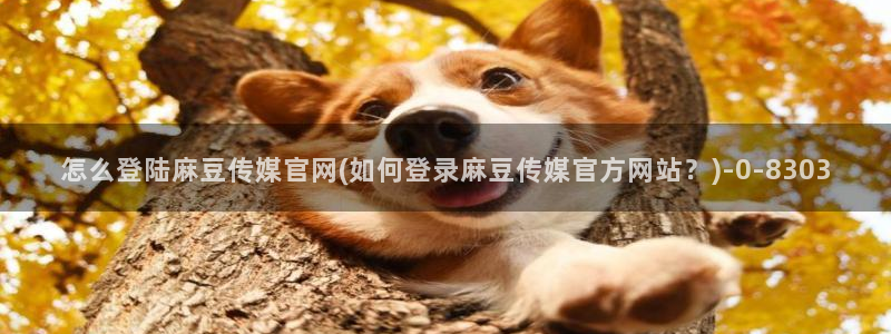 麻豆i传媒官网：怎么登陆麻豆传媒官网(如何登录麻豆传媒官方网站？)