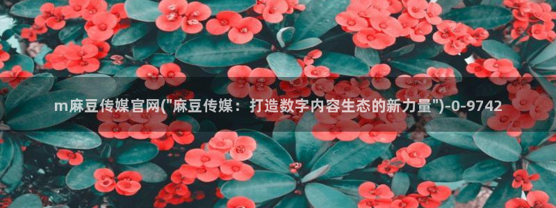 麻豆app传媒官网：m麻豆传媒官网(\