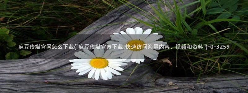 91麻豆传媒官网破解：麻豆传媒官网怎么下载(\