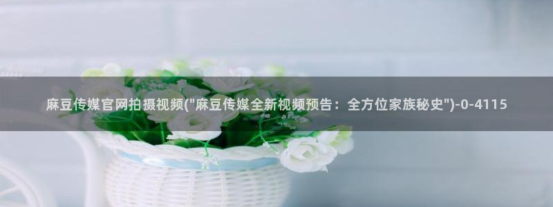 麻豆传媒有官网吗