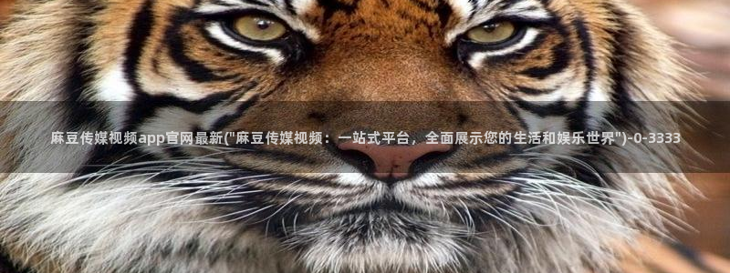 pud麻豆传媒官网：麻豆传媒视频app官网最新(\