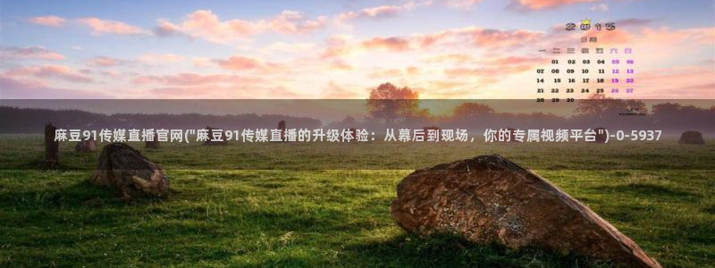 麻豆传媒官网水蜜桃：麻豆91传媒直播官网(\