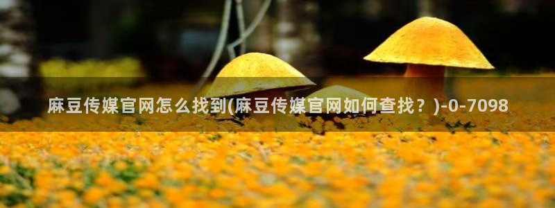 麻豆映化传媒官网：麻豆传媒官网怎么找到(麻豆传媒官网如何查找？)