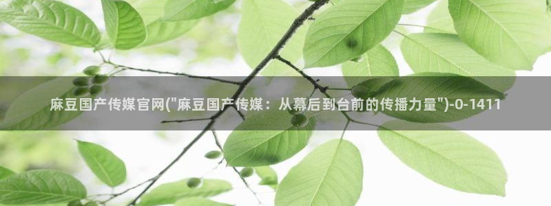 台湾麻豆传媒官网在线：麻豆国产传媒官网(\