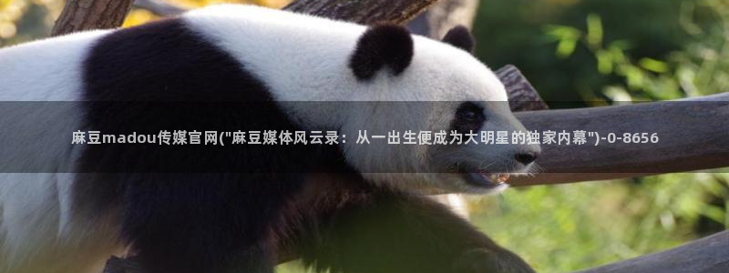 麻豆广告传媒官网：麻豆madou传媒官网(\