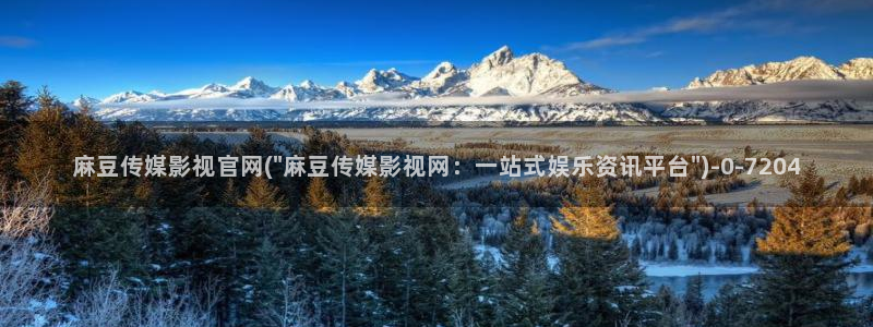 麻豆视传媒官网在哪：麻豆传媒影视官网(\