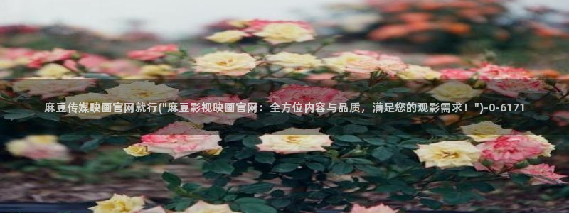 麻豆传媒映视官网：麻豆传媒映画官网就行(\