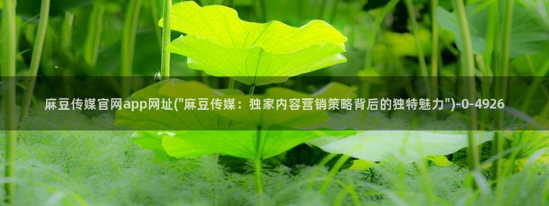 麻豆床传媒官网浸入：麻豆传媒官网app网址(\