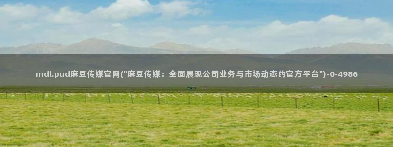 91麻豆精品传媒官网