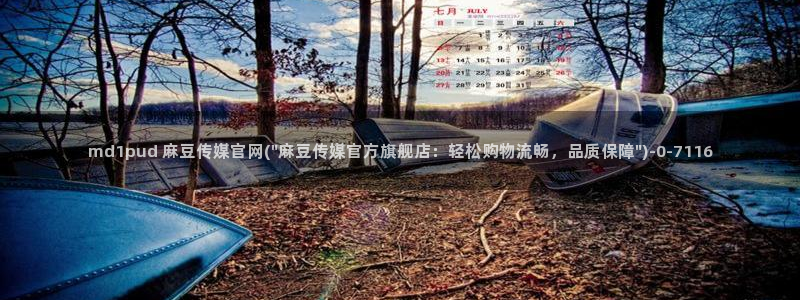 麻豆星空传媒官网